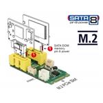 Delock Konvertor M.2 Key B+M samec > 2 x SATA pin 8 s napájením samec 63464