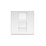 DIGITUS Professional 45x45 mm Face Plate for Trunking