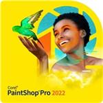 ESD PaintShop Pro 2023 ML