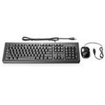 HP USB BFR-PVC Intl Keyboard/Mouse Kit 672097-B33
