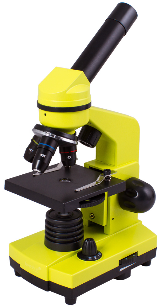 Mikroskop Levenhuk Rainbow 2L Lime 6900000690888