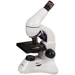 Mikroskop Levenhuk Rainbow D50L PLUS Moonstone 6900000691069