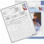 MOL NL AE MS Office 2010 Standard Single Language