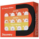Príslušenstvo Discovery Fauna 12 Prepared Slides Set - sada hotových preparátov 78224