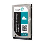Seagate Exos 7E2000 ST2000NX0253 - Pevný disk - 2 TB - interní - 2.5" SFF - SATA 6Gb/s - NL - 7200