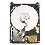 WD2500BEVE 250GB, 2,5", 5400RPM, buffer - 8MB