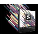 WebSite X5 Professional WEBSITE_PRO