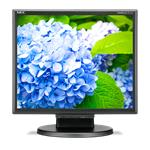 17" LED NEC E172M,1280x1024,TN,250cd,50mm,BK 60005020