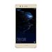 51091BNK Huawei P10 Lite Dual 3+32GB Zlatý AM P10 Lite Dual Gold AM