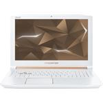 Acer PREDATOR Helios 300 - 15,6"/i7-8750H/16G/256SSD+1TB/GTX1060/144Hz/W10 bílý NH.Q4HEC.001