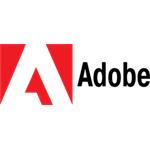 Adobe Captivate MP ENG GOV NEW L-1 1-9 (12 měsíců) 65297407BC01A12