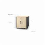 APC NetShelter Soundproof, 12U, Server Rack Enclosure, Maple AR4012A