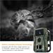 Apeman Fotopast Trail Cam H45 6958914465870