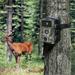Apeman Fotopast Trail Cam H45 6958914465870