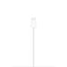 Apple MagSafe Nabíjačka (1m) MX6X3ZM/A