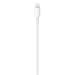 Apple USB-C to Lightning Cable (1 m) MUQ93ZM/A