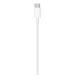 Apple USB-C to Lightning Cable (1 m) MUQ93ZM/A