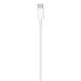 Apple USB-C to Lightning Cable (2 m) MW2R3ZM/A