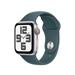 Apple Watch 40mm Lake Green Sport Band - M/L MAX64ZM/A
