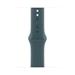 Apple Watch 40mm Lake Green Sport Band - S/M MAX54ZM/A