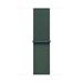 Apple Watch 40mm Lake Green Sport Loop MYJ93ZM/A