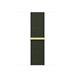 Apple Watch 41mm Cypress Sport Loop MT573ZM/A