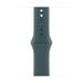 Apple Watch 42mm Lake Green Sport Band - M/L MXLA3ZM/A