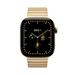 Apple Watch 42mm Radiant Gold Link Bracelet MJNW4ZM/A