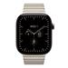 Apple Watch 46mm Natural Link Bracelet MJQ14ZM/A