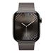 Apple Watch 46mm Slate Link Bracelet MXMK3ZM/A