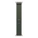Apple Watch 49mm Green Trail Loop - S/M - Natural Titanium Finish MXTN3ZM/A