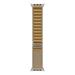 Apple Watch 49mm Tan Alpine Loop - Small - Natural Titanium Finish MXN13ZM/A