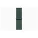 Apple Watch SE GPS + Cellular 44mm Starlight Aluminium Case with Lake Green Sport Loop MXGV3QC/A