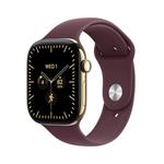 Apple Watch Series 12 GPS + Cellular 42mm Radiant Gold Titanium Case with Burgundy Sport Band - M/L MJGK4RK/A
