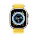 Apple Watch Ultra GPS + Cellular 49mm puzdro z prírodného titánu *Trieda A* MNHG3CS/A