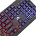 Baracuda herní membránová klávesnice STARFISH , US layout, černá (BGK-02114) 3858894503704