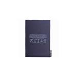 Baterie pro iPad mini4 5124mAh Li-Ion (Bulk) 8596311006371