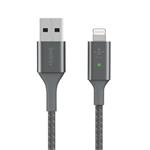 Belkin Lightning Smart LED kabel, 1,2m, stříbrný - odolný CAA007bt04GR
