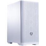 BitFenix skříň Mesh SE / ATX / 120 mm fan / 2xUSB 3.0 / mesh panel / bílá BFC-NSE-300-WWXKW-RP