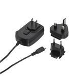 BlackBerry cestovní nabíječka 220 V, microUSB ACC-18080-203