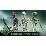Blazing Sails - Undead Pirate Pack (PC) klíč Steam 1861006