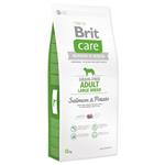 Brit Care GF Adult Large Breed 12kg 8595602510184