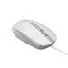 Canyon M-10, symetrická optická myš s efektom hladkého posuvu, USB, 1.000 dpi, 3 tlač, šedo-biela