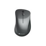 Canyon MW-11, Wireless optická myš Pixart 3065, USB, 1200 dpi, 3 tlač, čierna CNE-CMSW11B