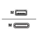 Cisco - USB kabel - USB (M) do USB-C (M) - 4 m - pro Webex Room Kit Mini CAB-USBC-4M-GR=