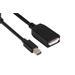 Club3D Mini DisplayPort™ to DisplayPort™ Passive Adapter CAC-1110