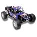 CONRAD RC model auta Buggy Reely Dune Fighter 2.0, střídavý (Brushless), 1:10, 4WD (4x4), 100% RtR, 45 km/h + Li 1616444