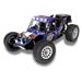 CONRAD RC model auta Buggy Reely Dune Fighter 2.0, střídavý (Brushless), 1:10, 4WD (4x4), 100% RtR, 45 km/h + Li 1616444