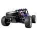 CONRAD RC model auta Buggy Reely Dune Fighter 2.0, střídavý (Brushless), 1:10, 4WD (4x4), 100% RtR, 45 km/h + Li 1616444