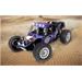 CONRAD RC model auta Buggy Reely Dune Fighter 2.0, střídavý (Brushless), 1:10, 4WD (4x4), 100% RtR, 45 km/h + Li 1616444